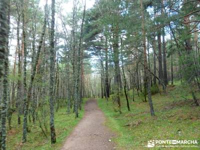 Cascadas Purgatorio,Bosque Finlandia; excursiones semana santa; viajes senderismo